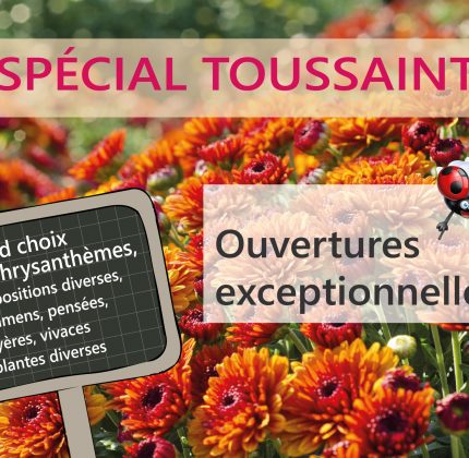 Toussaint <br> Ouvertures exceptionnelles des Serres et jardineries