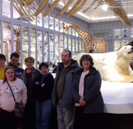 A la découverte du Muséum Sciences et Nature de Bordeaux