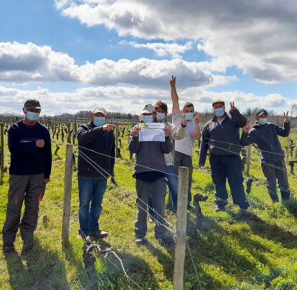 Le Château de Villambis, certifié Terra Vitis pour son millésime 2020