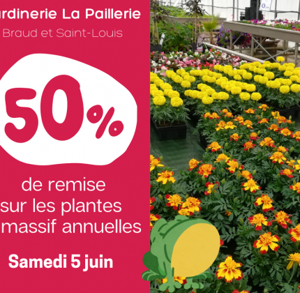 Jardinerie La Paillerie – 50% sur les plantes à massif annuelles