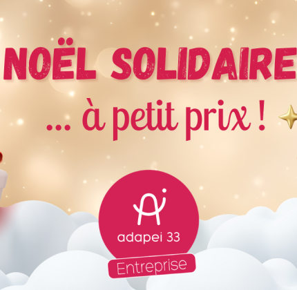 Noël Solidaire by Adapei 33 Entreprise