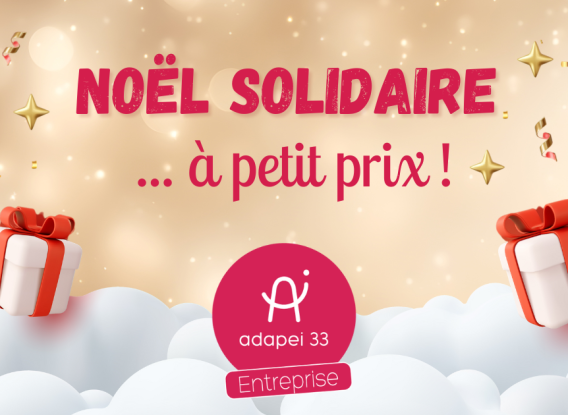 Noël Solidaire by Adapei 33 Entreprise